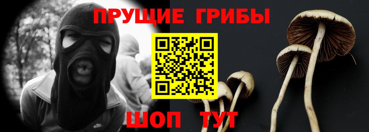 Уварово  Псилоцибиновые грибы MAGIC MUSHROOMS  Вход с VPN 